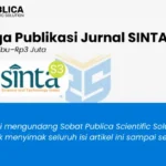 Harga Publikasi Jurnal SINTA 3